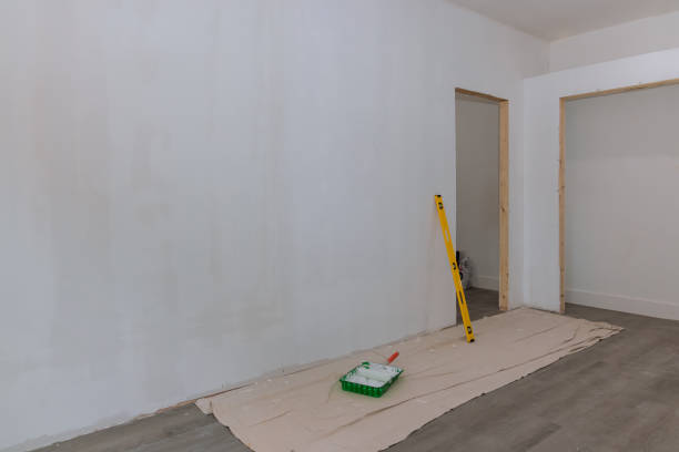 Professional Dry wall and painting in Dewitt, IA