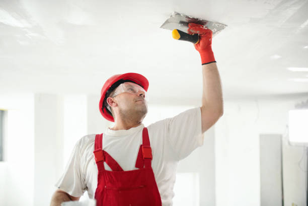 Best Wallpaper Removal and Painting  in Dewitt, IA