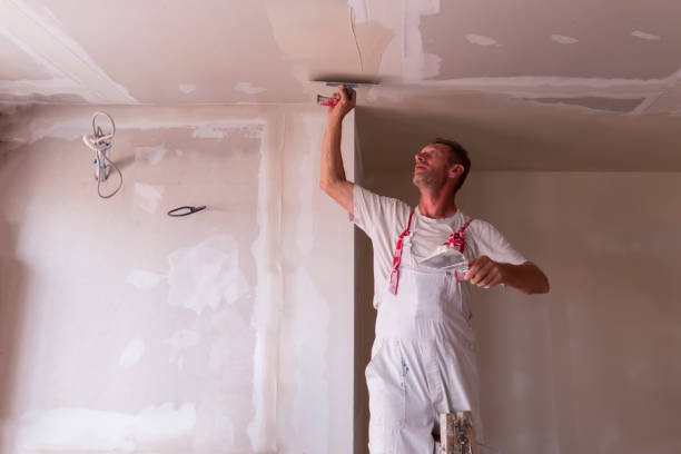 Best Drywall Installation  in Dewitt, IA