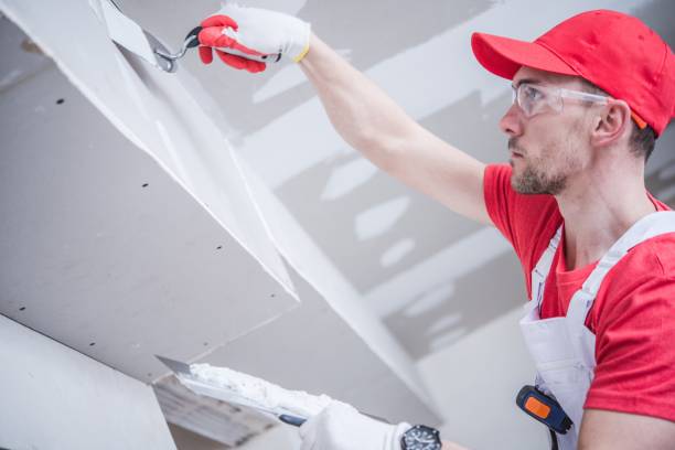 Best Water-Damaged Drywall Repair  in Dewitt, IA